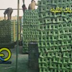 الدعامة جاك الثقيلة الصلب